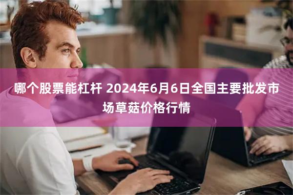 哪个股票能杠杆 2024年6月6日全国主要批发市场草菇价格行情