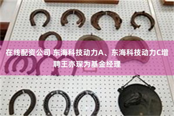 在线配资公司 东海科技动力A、东海科技动力C增聘王亦琛为