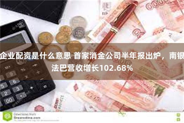 企业配资是什么意思 首家消金公司半年报出炉，南银法巴营收增长102.68%