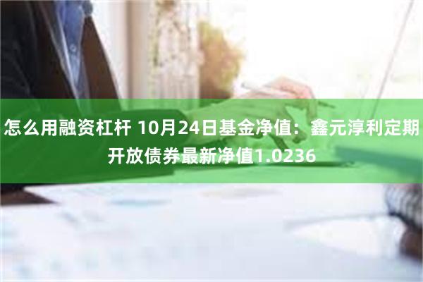 怎么用融资杠杆 10月24日基金净值：鑫元淳利定期开放债