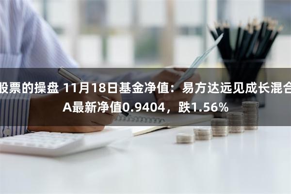 股票的操盘 11月18日基金净值：易方达远见成长混合A最新净值0.9404，跌1.56%