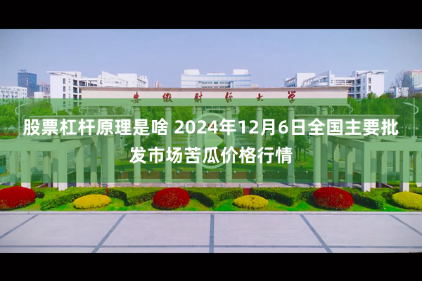 股票杠杆原理是啥 2024年12月6日全国主要批发市场苦瓜价格行情