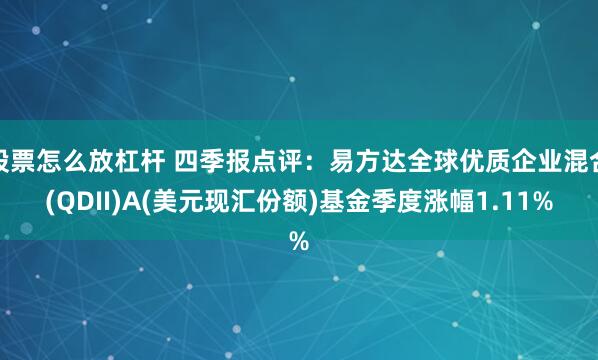 股票怎么放杠杆 四季报点评：易方达全球优质企业混合(QDII)A(美元现汇份额)基金季度涨幅1.11%