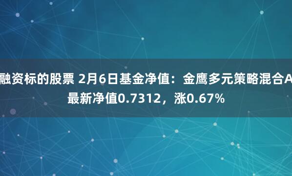 融资标的股票 2月6日基金净值：金鹰多元策略混合A最新净值0.7312，涨0.67%