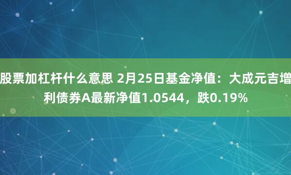 股票加杠杆什么意思 2月25日基金净值：大成元吉增利债券A最新净值1.0544，跌0.19%