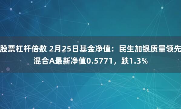 股票杠杆倍数 2月25日基金净值：民生加银质量领先混合A最新净值0.5771，跌1.3%