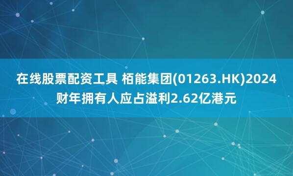 在线股票配资工具 栢能集团(01263.HK)2024财年拥有人应占溢利2.62亿港元