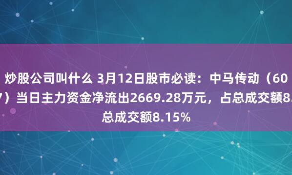 炒股公司叫什么 3月12日股市必读：中马传动（603767）当日主力资金净流出2669.28万元，占总成交额8.15%